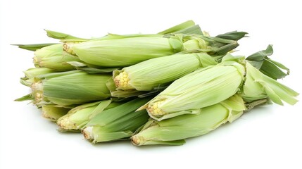 Fototapeta premium A pile of sweet corn cobs, neatly arranged and isolated on a white background.