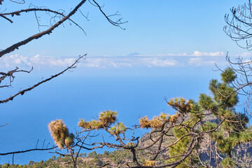 Blick über den Tamadaba-Naturpark auf den Teide.  Ausblick vom Tamadaba-Naturpark auf Gran Canaria...
