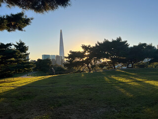 Sunset in Olympic park in Seoul