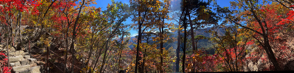 Fototapeta premium Autumn forest panorama at Seoraksan national park i