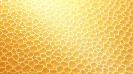 Honeycomb Journal Page Textures - AI Art