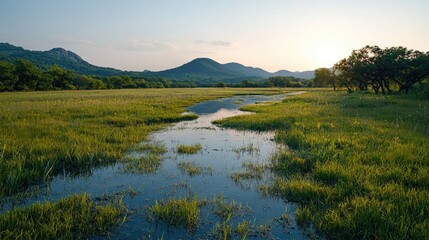 Obraz premium Serene sunset over a tranquil floodplain meadow