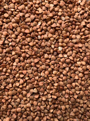 Close-up texture of brown buckwheat grains with rough surfaces