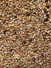 Close-up texture of raw white buckwheat grains with smooth surfaces