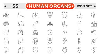 Human Organs outline icon, Organs, anatomy flat line icons set. Human bones, stomach, brain, heart, bladder, nervous system vector illustrations. Outline pictograms for medical clinic.