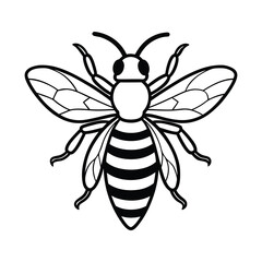 bee vector illustration on a white background