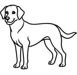 The swift fabled dog icon on black and white background vector image logo art silhouette tattoo design illustration