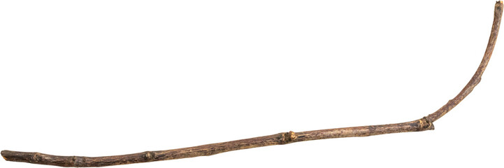 Dry tree branches isolated on white background