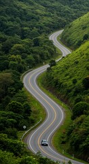 Fototapeta premium Serene Journey Through Nature