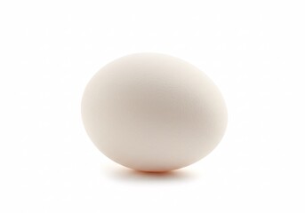Egg isolated on white