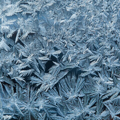 Frost patterns on glass as a background 