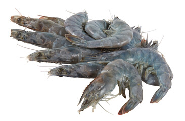fresh shrimp cut out isolated transparent background