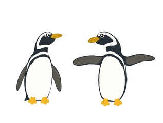 Isolated illustration of two penguins on a white background