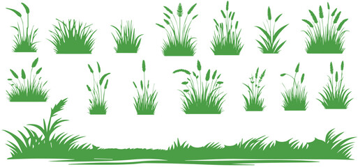 Fototapeta premium A collection of green plants with different shapes and sizes of grass