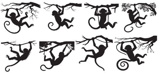 Set of different monkey silhouettes isolated on white background. Capuchin monkey and chimpanzee hanging,
