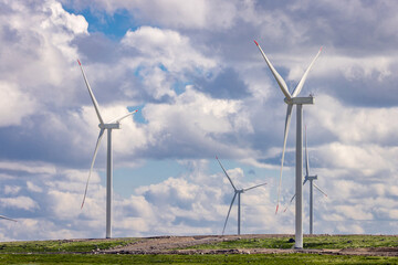 Fototapeta premium wind turbines in a field against a background of blue sky with clouds, wind farm, Kola peninsula, power plant, windmill