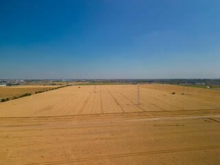 Obraz premium Wheat threshing combine in the field. Advanced technology for harvesting grains 4k