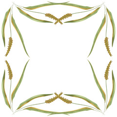Obraz premium Square frame of field grasses, cereals, ears and leaves. Decor for graphic design, printing and packaging. Isolated hand-drawn watercolor illustration.