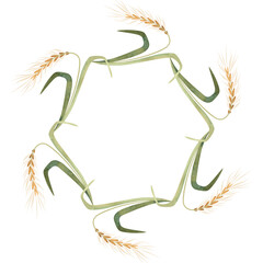 Wreath of wild grasses, cereals, ears and leaves. Decor for graphic design, printing and packaging. Isolated hand-drawn watercolor illustration.