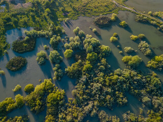 Aerial view with a delta, an ecosystem full of lakes and green willows. Amazing wild landscape seen from drone in the summer on a sunny day 