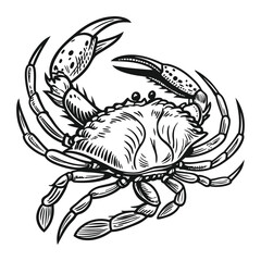Fototapeta premium Vintage nautical crab illustration, black and white design, detailed line drawing, hand drawn style design isolated on a white background