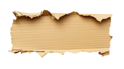 Fototapeta premium Torn Brown Cardboard Paper Isolated on Transparent Background