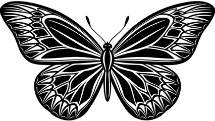 Detailed Black and White Butterfly Illustration with Intricate Wing Patterns in Graphic Design Style