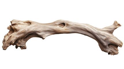 Natural driftwood isolated on transparent background