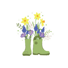 Spring illustration, garden boots with spring bouquet of flowers, crocuses, muscari, daffodils on white background. Vector in cartoon style