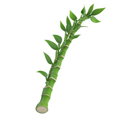 Fototapeta premium Lush Green Bamboo Stem with Leaves on a White Background