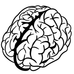Obraz premium Brain Organ Sketch Illustration
