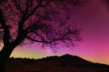 Starke Polarlichter über Deutschland. Am 11.05.2004 aufgenommen. Die Limburg bei Weilheim an der Teck, Schwäbische Alb wird von der Aurora Borealis angestrahlt. Im Vordergrund ein Obstbaum.
