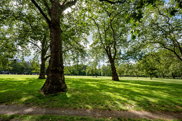 Serene Green Spaces in London, a Relaxing Outdoor Experience, Tourism or Urban Lifestyle showcasing the City's Appeal for Both Locals and Visitors.