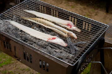 アナゴを炭火で焼く