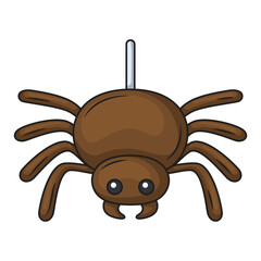 Spider icon design. Vector design