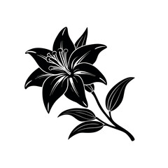 Lilium Bloom on Branches – Black and White Vector Illustration