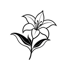 Lilium Bloom on Branches – Elegant Black and White Vector Art