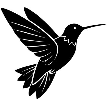 vector hummingbird silhouette on white