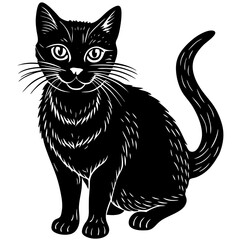 black cat vector illustration on white background