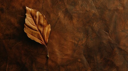 Women's Day: In the Poetic Warm Rhyme of the Autumn-leaf Brown Background, Unleashing the Intellectuality and Composure Beauty of Women