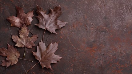 Women's Day: In the Poetic Warm Rhyme of the Autumn-leaf Brown Background, Unleashing the Intellectuality and Composure Beauty of Women