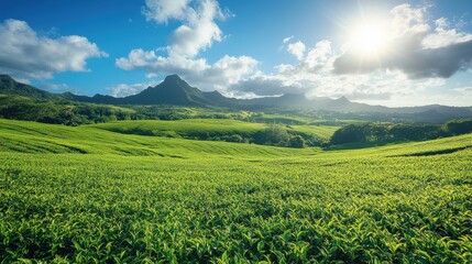 Fototapeta premium a breathtaking landscape with rolling hills, lush green fields and mountains in the background. the sky is a vibrant blue with fluffy white clouds, and the sun shines brightly, illuminating the scene