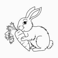 A cute rabbit eating carrot