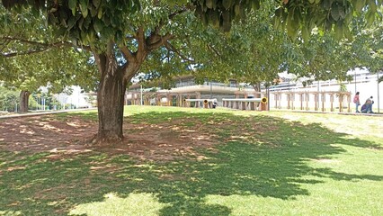 park in the park