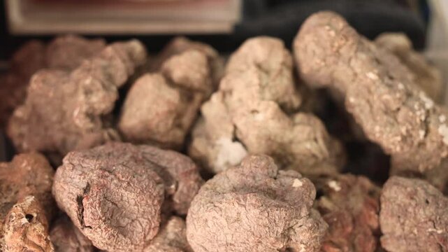 Tiger Milk Mushroom Chinese traditional food