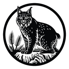 cat on a white background