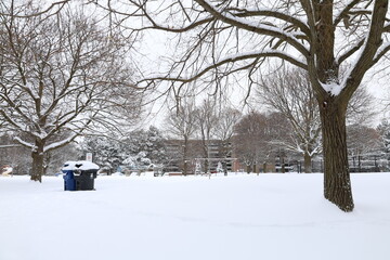 Beautiful covered roads and parks with soft snow