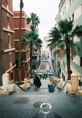 view of a street with palmas