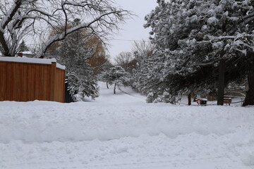 Beautiful covered roads and parks with soft snow