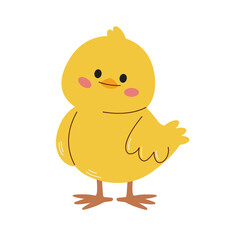 Cute yellow chicken cartoon vector illustration graphic design. Cute little chicken character.